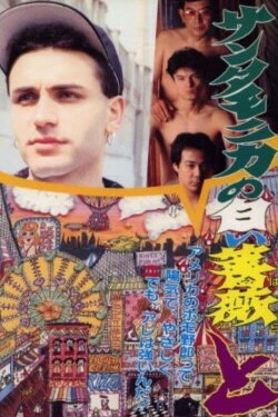 White Rose of Santa Monica: Confused (1993) White Rose of Santa Monica: Confused (1993)
