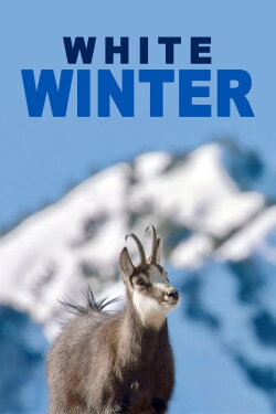 White Winter (2022) White Winter (2022)