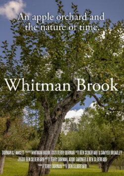 Whitman Brook (2022)