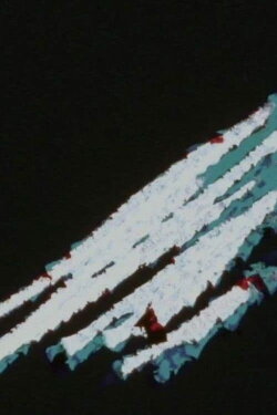 Who Done It? (1984)