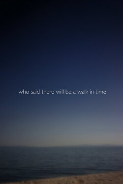 Who Said There Will Be a Walk in Time (2020)