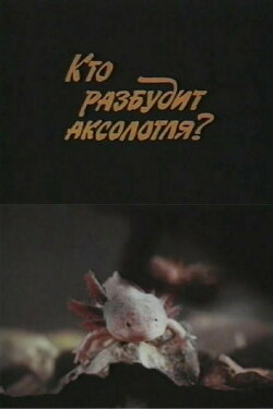 Who Will Wake Up the Axolotl? (1981) Who Will Wake Up the Axolotl? (1981)