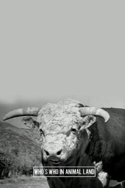 Who's Who in Animal Land (1944) Who's Who in Animal Land (1944)