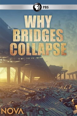 Why Bridges Collapse (2019)