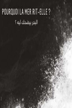 Why Does the Sea Laugh? (2019) Why Does the Sea Laugh? (2019)