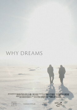 Why Dreams (2021)