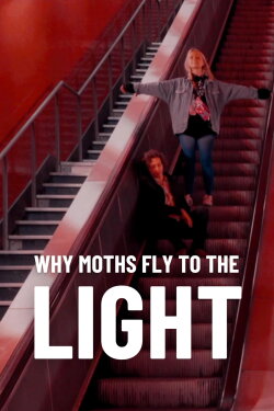 Why Moths Fly to the Light? (2020) Why Moths Fly to the Light? (2020)