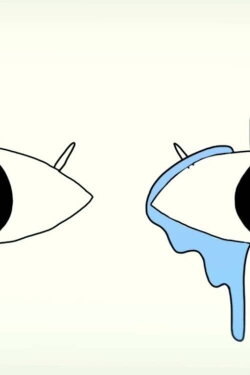 Why Shoe Man (2021) Why Shoe Man (2021)