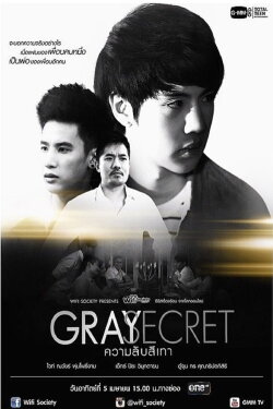 Wifi Society: Gray Secret (2015) Wifi Society: Gray Secret (2015)