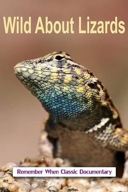 Wild About Lizards (2014)