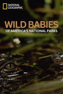 Wild Babies of America's National Parks (2023) Wild Babies of America's National Parks (2023)