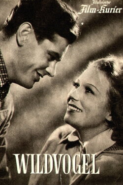 Wild-Bird (1943) Wild-Bird (1943)