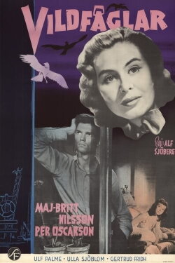 Wild Birds (1955) Wild Birds (1955)