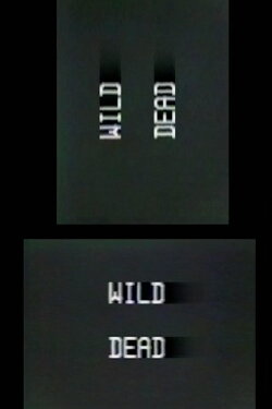 Wild Dead I, II, III (1984) Wild Dead I, II, III (1984)