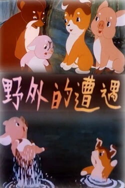 Wild Encounters (1955)