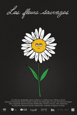 Wild Flowers (2024) Wild Flowers (2024)