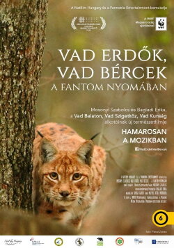 Wild forests, wild crags - In search of the phantom (2020) Wild forests, wild crags - In search of the phantom (2020)