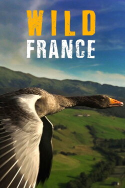 Wild France (2013) Wild France (2013)