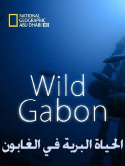 Wild Gabon (2014)