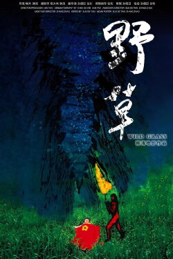 WILD GRASS (2017) WILD GRASS (2017)