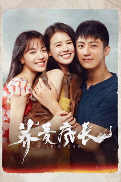 Wild Grass (2020)