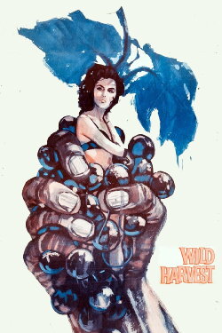Wild Harvest (1962) Wild Harvest (1962)