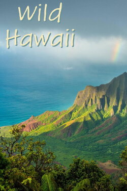 Wild Hawaii (2012) Wild Hawaii (2012)