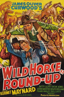 Wild Horse Round-Up (1936) Wild Horse Round-Up (1936)