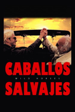 Wild Horses (1995)