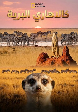 Wild Kalahari (2014) Wild Kalahari (2014)