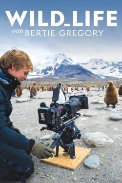 Wild Life: The Big Freeze (2020) Wild Life: The Big Freeze (2020)