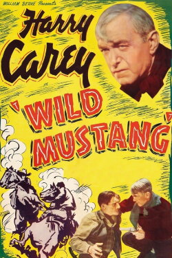 Wild Mustang (1935) Wild Mustang (1935)