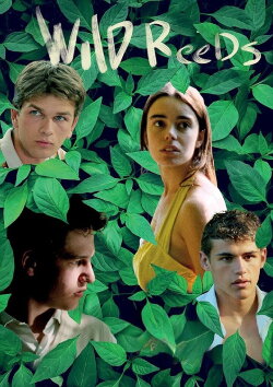 Wild Reeds (1994) Wild Reeds (1994)