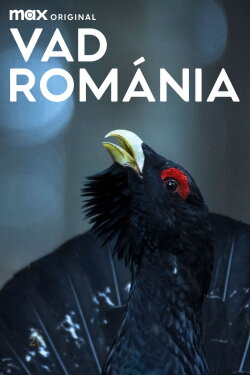 Wild Romania (2021)