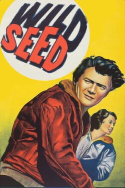 Wild Seed (1965) Wild Seed (1965)