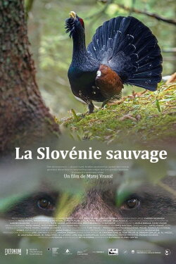 Wild Slovenia (2021)