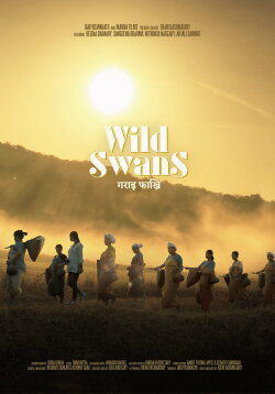 Wild Swans (2023)