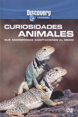 Wild Weird Animals (2004)