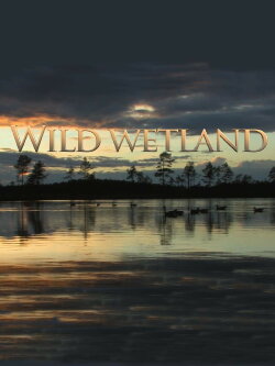 Wild Wetland (2017)