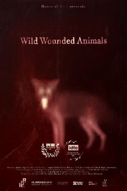 Wild Wounded Animals (2022) Wild Wounded Animals (2022)