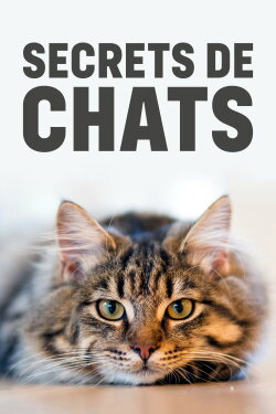 Wilde Miezen - Katzen allein unterwegs (2017) Wilde Miezen - Katzen allein unterwegs (2017)