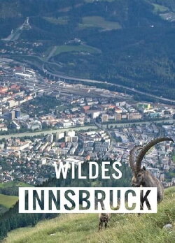 Wildes Innsbruck: Zwischen Moderne und alpiner Wildnis (2021) Wildes Innsbruck: Zwischen Moderne und alpiner Wildnis (2021)