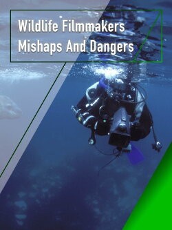 Wildlife Filmmakers: Mishaps and Dangers (2004) Wildlife Filmmakers: Mishaps and Dangers (2004)