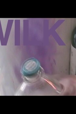 Wilk (2024)