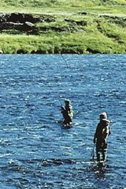 Will There Be Salmon Tomorrow? (1983)