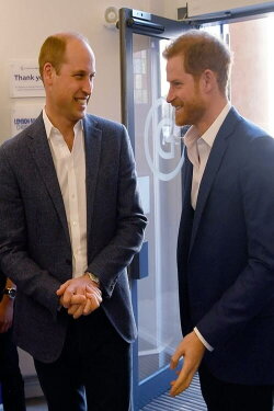 William et Harry : qui sont-ils vraiment ? (2018) William et Harry : qui sont-ils vraiment ? (2018)