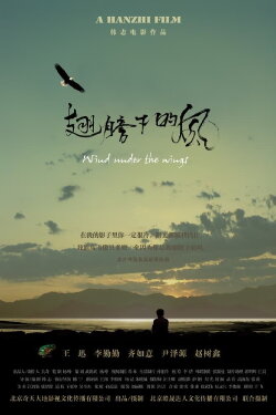 Wind Under The Wings (2010)