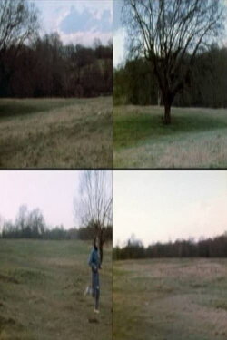 Wind Vane (1972)