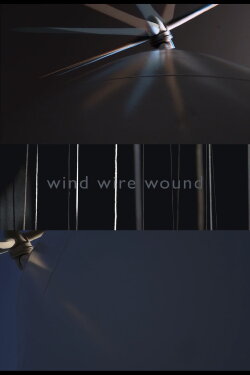 WIND WIRE WOUND (2018)
