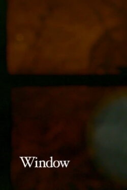 Window (2001) Window (2001)